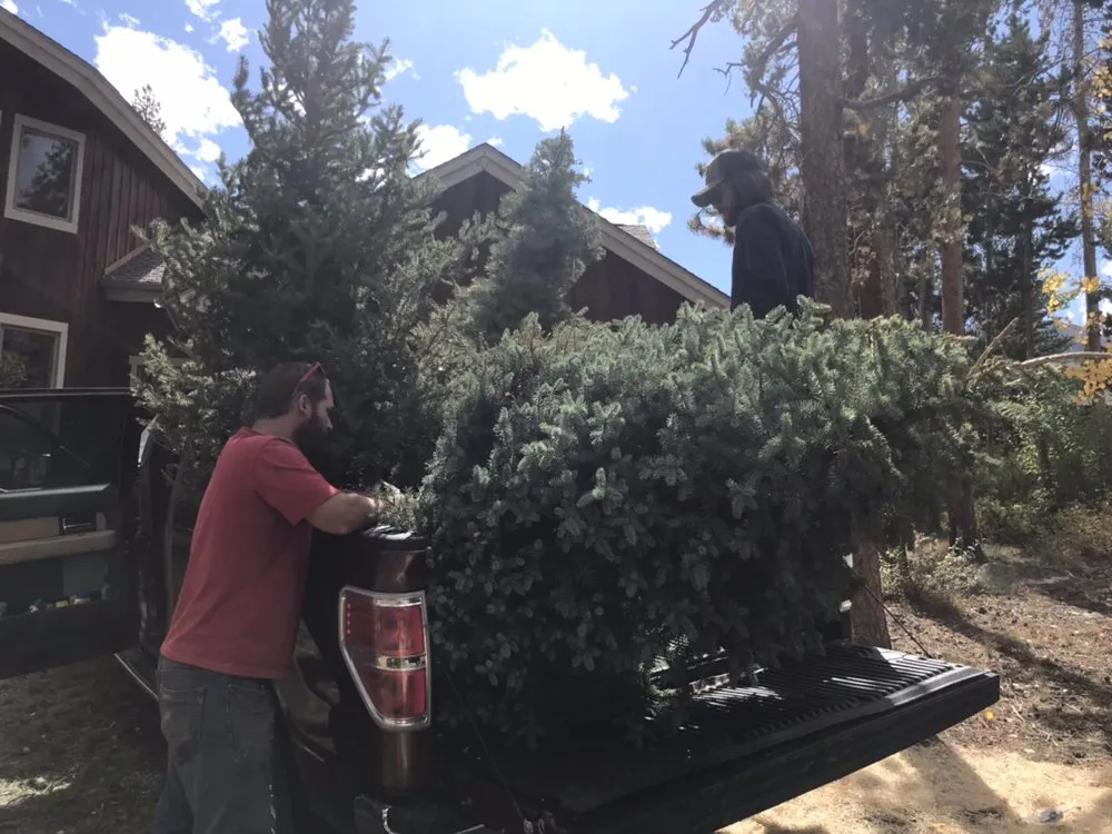 Custom yard maintenance for homes in Silverthorne, CO by Becky's Clean and Green