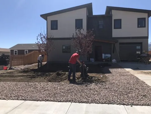Becky's Clean and Green