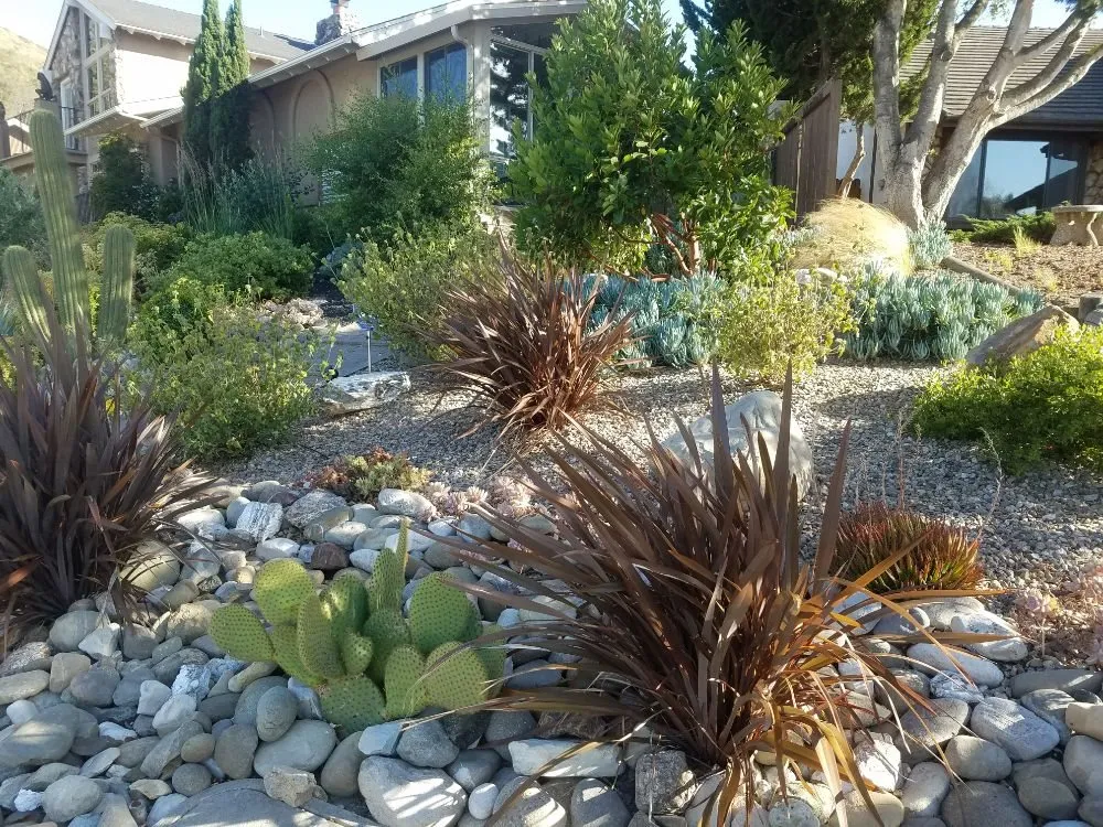 Custom landscape installation with custom design in Lompoc, CA by Becky's Creative Landscape & Design