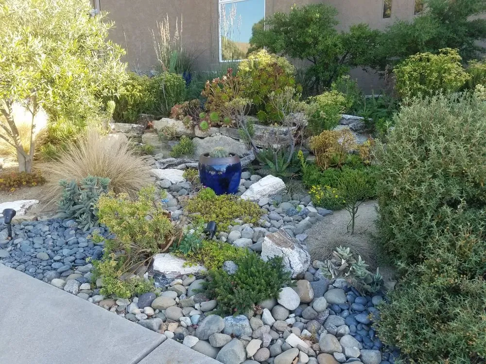 Affordable lawn mowing service for outdoor upgrades across Lompoc, CA - Becky's Creative Landscape & Design