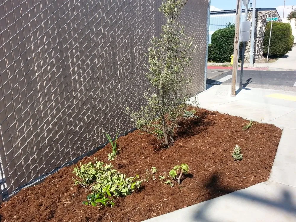 Custom lawn mowing service in Lompoc, CA by Becky's Creative Landscape & Design