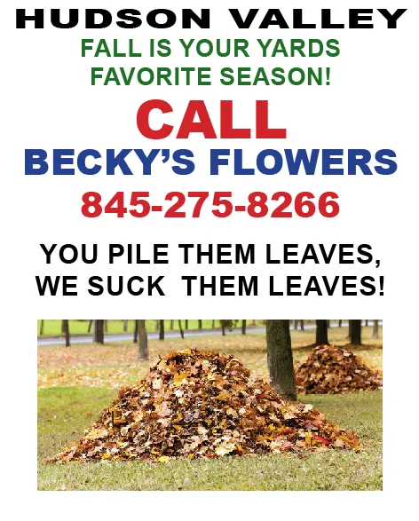 Professional yard maintenance for homes across Stormville, NY - Becky's Flowers