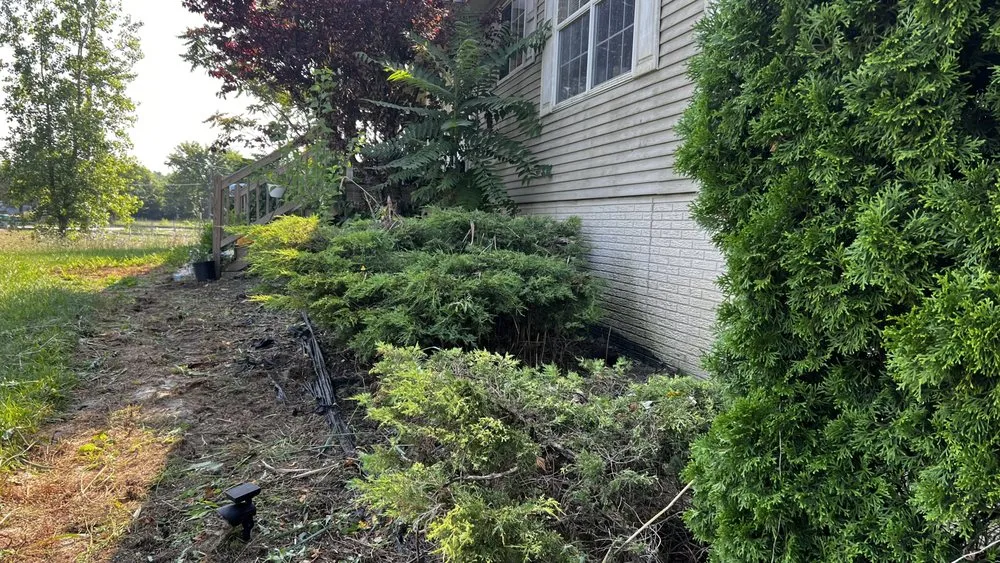 Local outdoor landscaping experts serving Brownstown Township, MI - Becky’s Weed Pulling Service