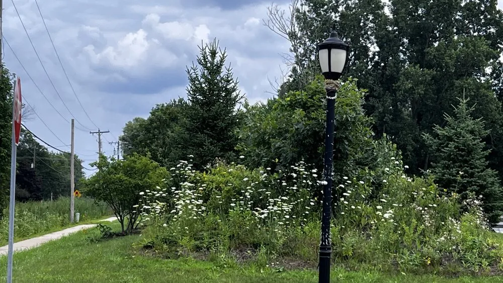 Expert landscaping services experts serving Brownstown Township, MI - Becky’s Weed Pulling Service