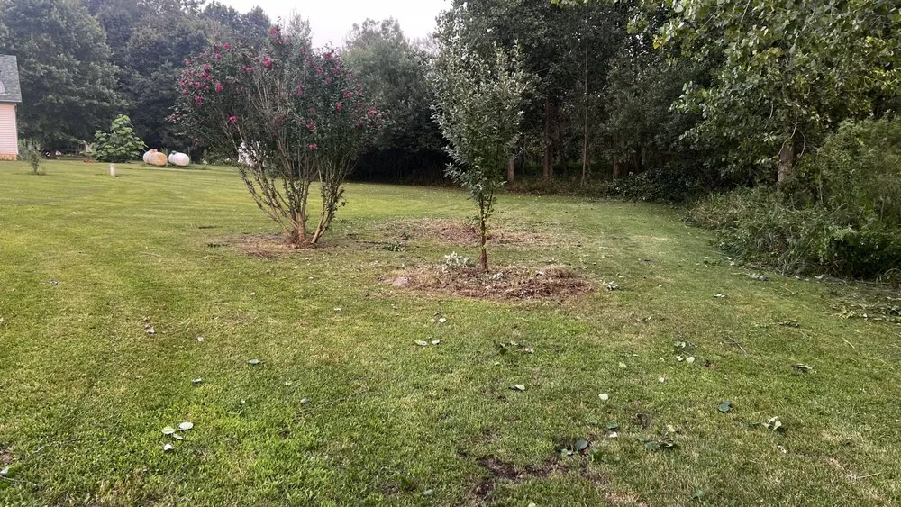 Reliable lawn care service near you across Brownstown Township, MI - Becky’s Weed Pulling Service
