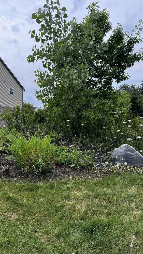 Local residential landscaping in Brownstown Township, MI - Becky’s Weed Pulling Service