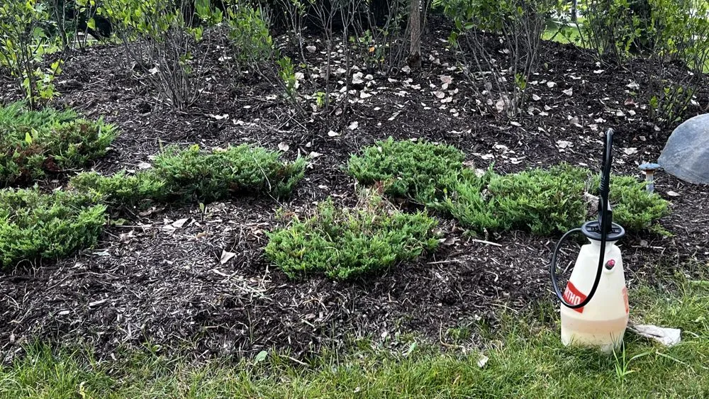 Professional residential landscaping experts serving Brownstown Township, MI - Becky’s Weed Pulling Service