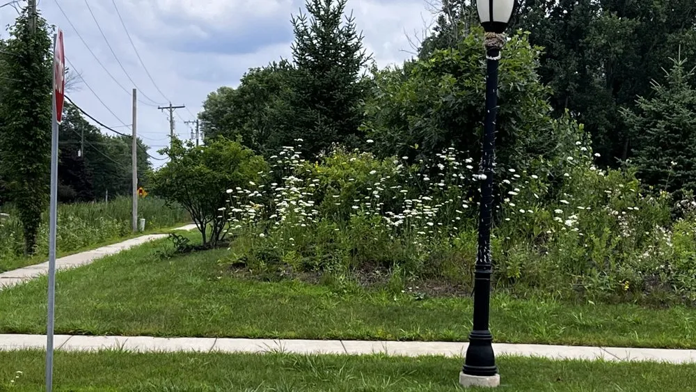 Reliable lawn mowing service in Brownstown Township, MI - Becky’s Weed Pulling Service