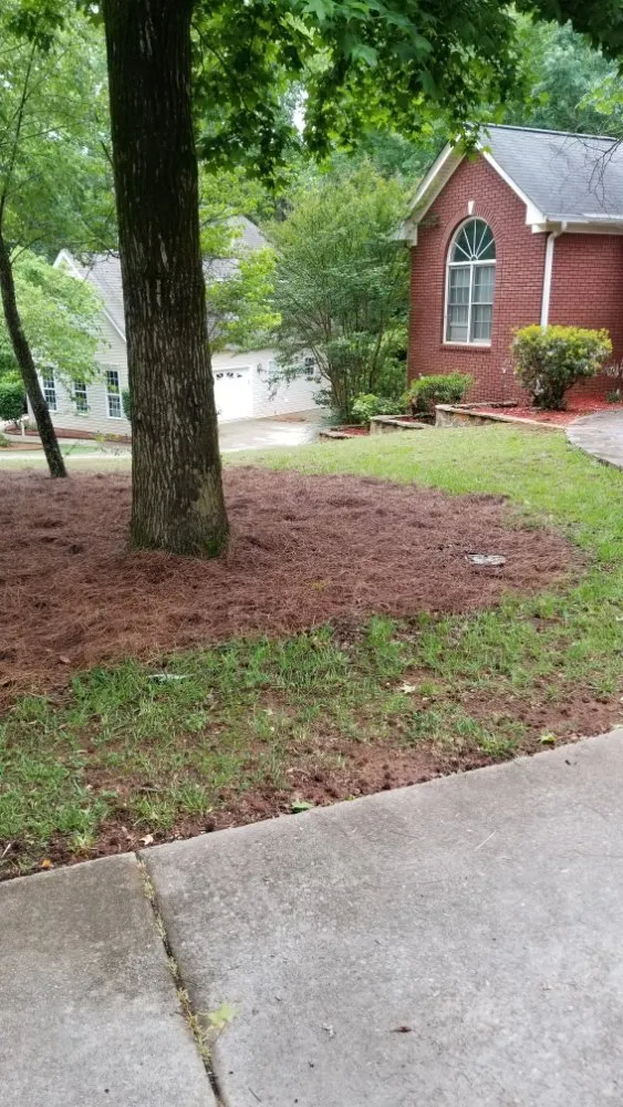 Expert residential landscaping for homes in Gainesville, GA by Becoats & Sons Lawn Care