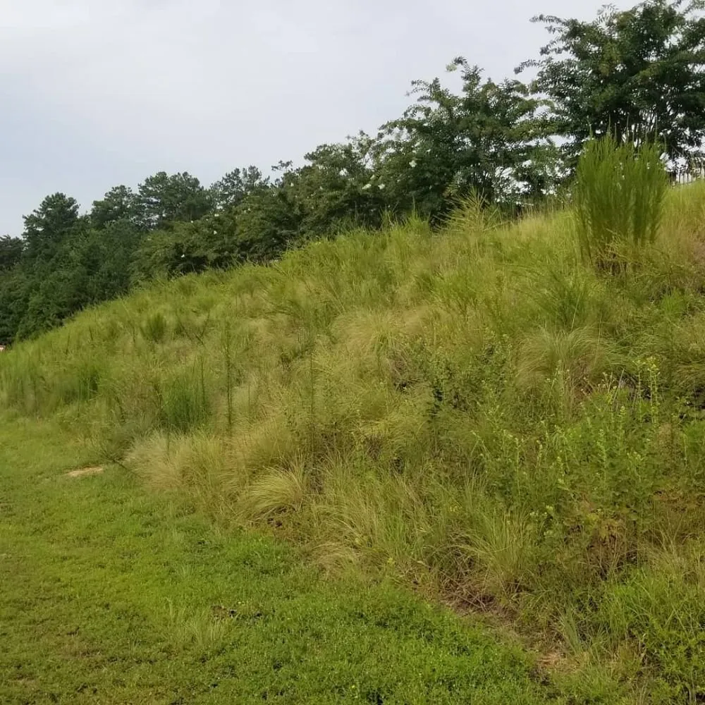 Local residential landscaping in Gainesville, GA by Becoats & Sons Lawn Care