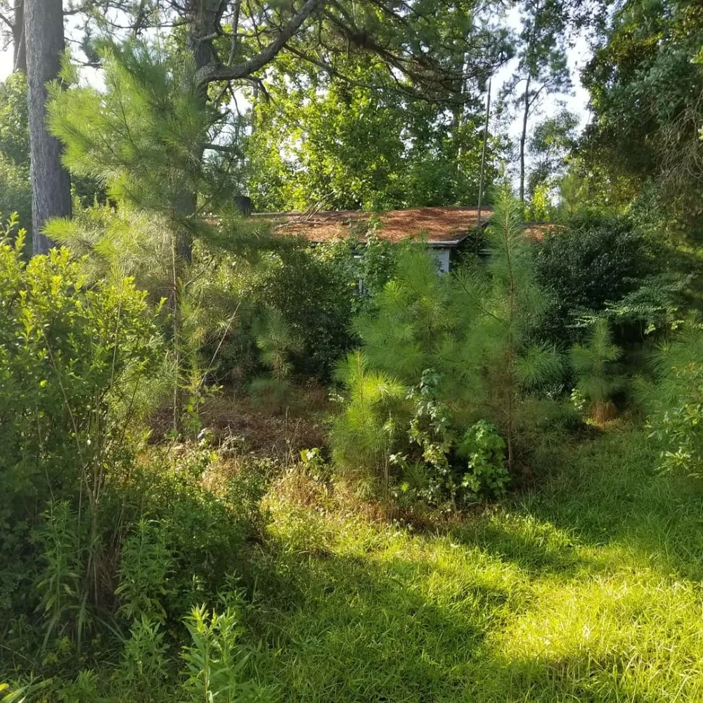 Reliable residential landscaping for outdoor upgrades across Gainesville, GA - Becoats & Sons Lawn Care