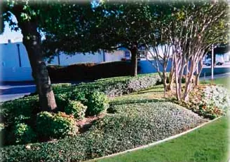 Professional landscape installation in Hurst, TX by Becoming Lawns