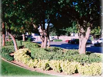 Professional residential landscaping in Hurst, TX by Becoming Lawns