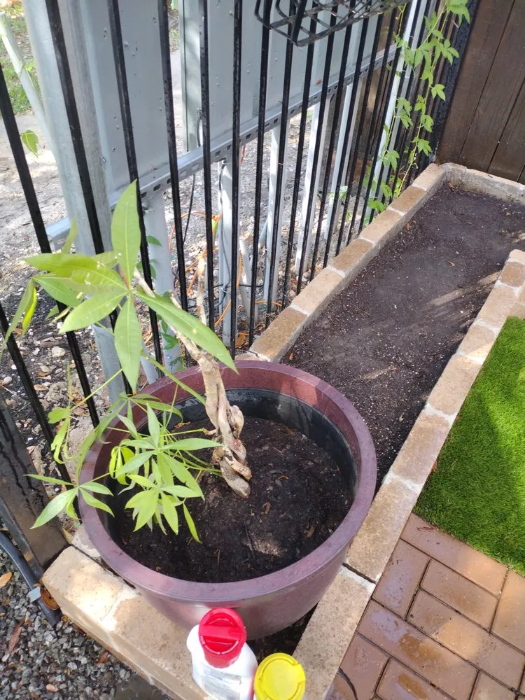 Reliable residential landscaping in Houston, TX - Becuzz we care