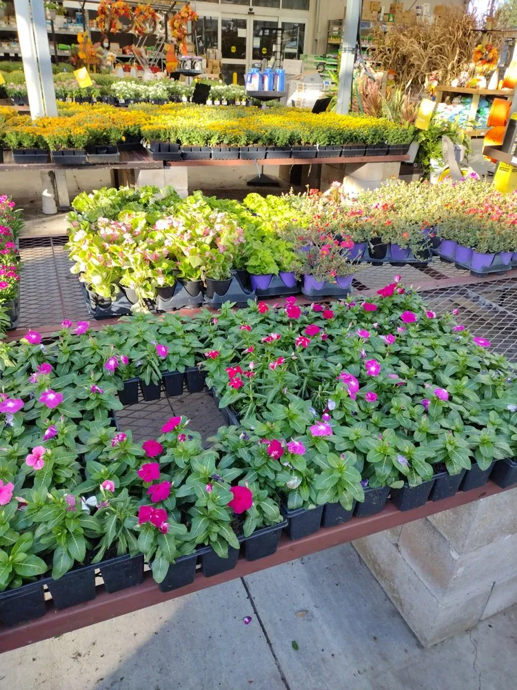 Trusted yard cleanup service for outdoor upgrades across Houston, TX - Becuzz we care