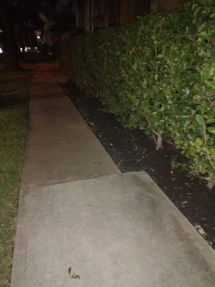 Expert lawn care service experts serving Houston, TX - Becuzz we care