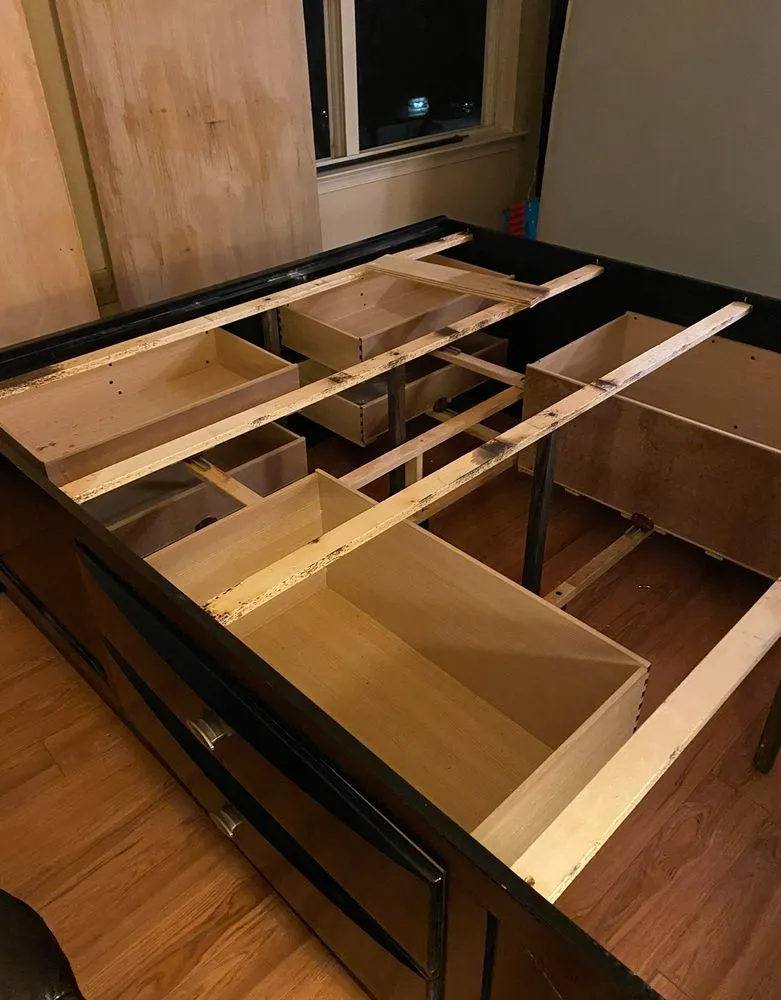 Custom lawn mowing service in Baltimore, MD - Bed Bug & Pest Removal