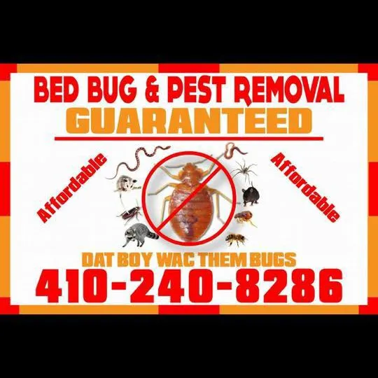 Professional residential landscaping for residential properties across Baltimore, MD - Bed Bug & Pest Removal