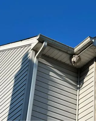 Bed Bug & Pest Removal Logo