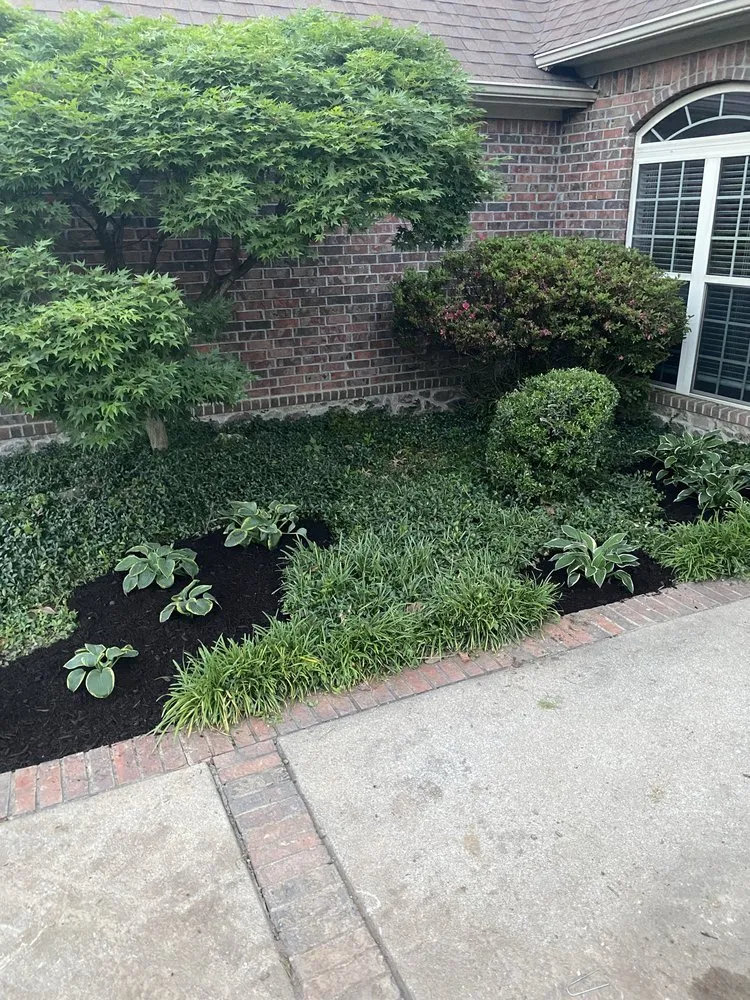Top-rated landscaping services for residential properties across Bentonville, AR - Bed Revival Landscaping