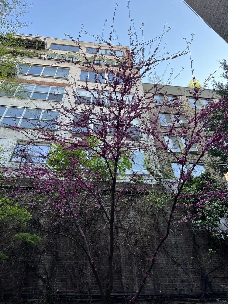 Reliable landscape design experts serving Brooklyn, NY - Bed-Stuy Garden Guy