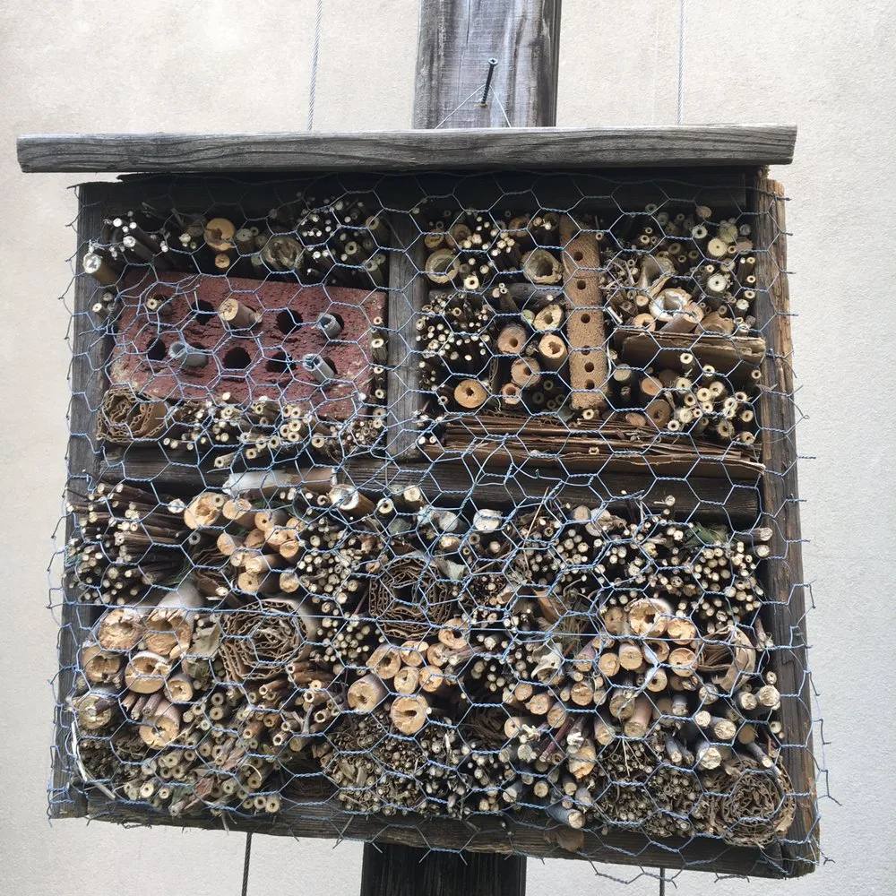 Expert yard maintenance experts serving Brooklyn, NY - Bed-Stuy Garden Guy