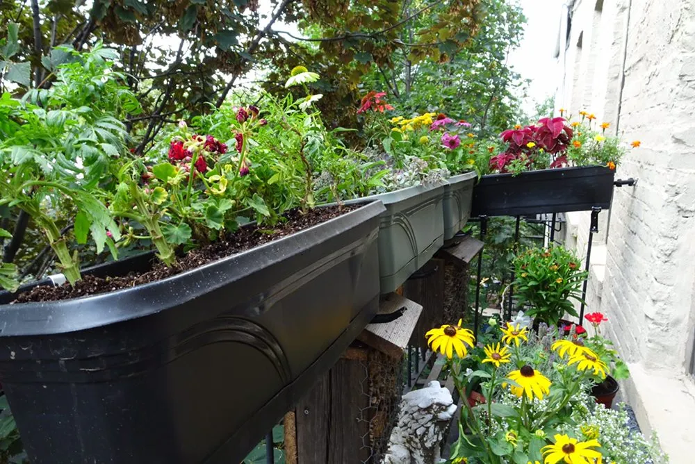 Affordable yard cleanup service in Brooklyn, NY by Bed-Stuy Garden Guy