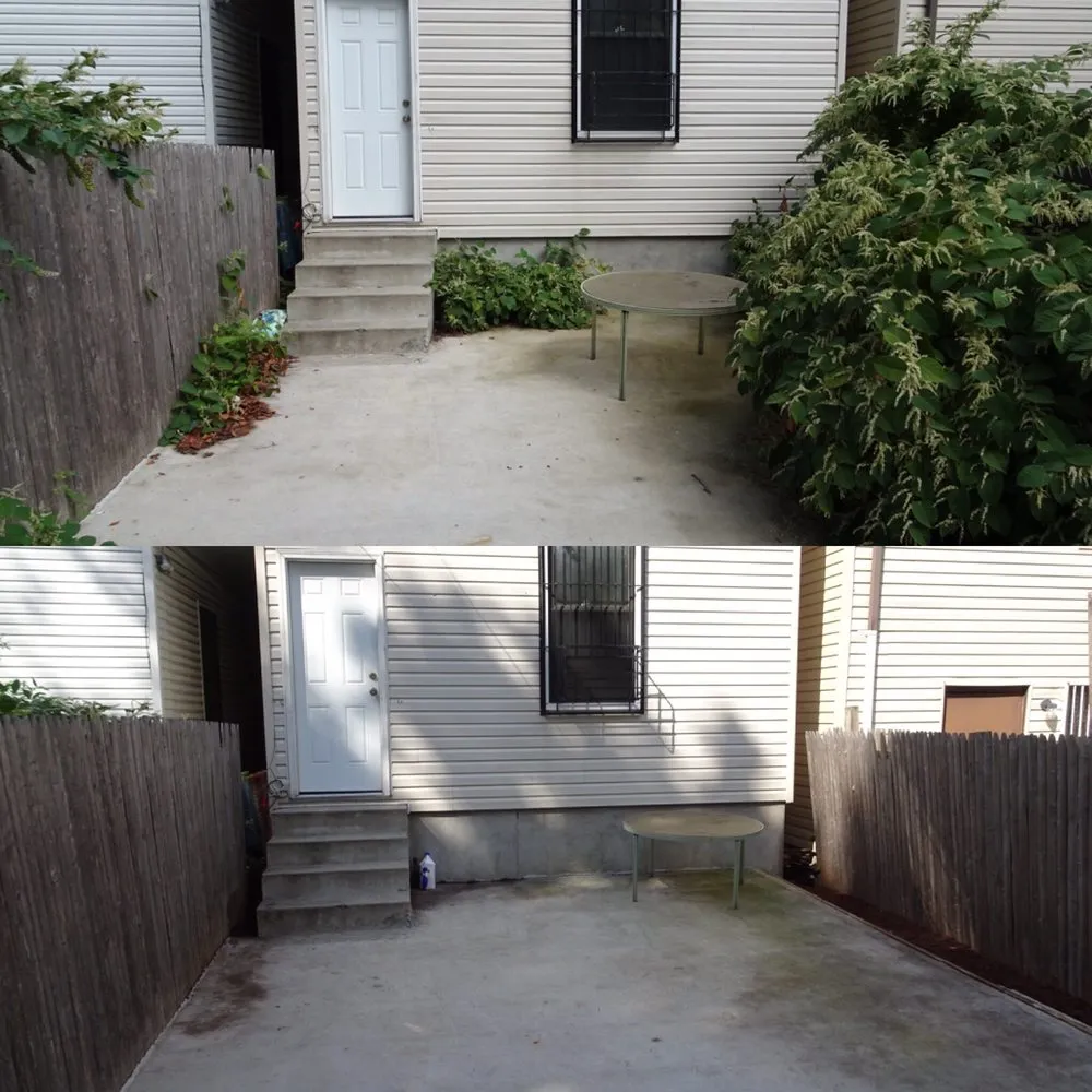 Local landscape design for beautiful yards in Brooklyn, NY by Bed-Stuy Garden Guy