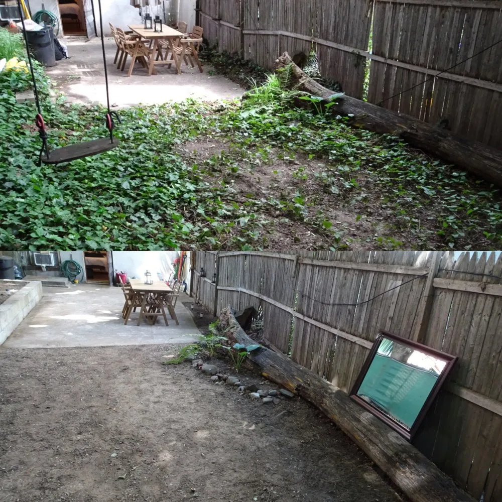 Top-rated yard cleanup service near you across Brooklyn, NY - Bed-Stuy Garden Guy