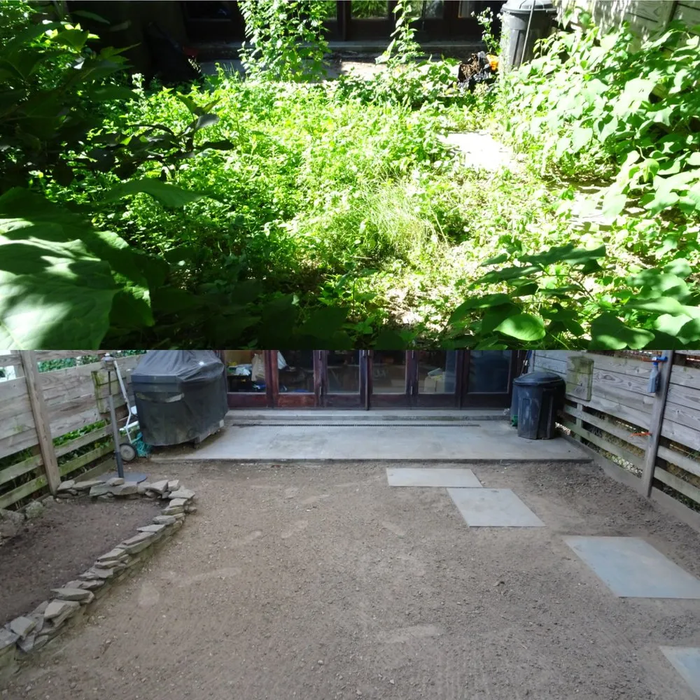 Trusted lawn care service in Brooklyn, NY by Bed-Stuy Garden Guy