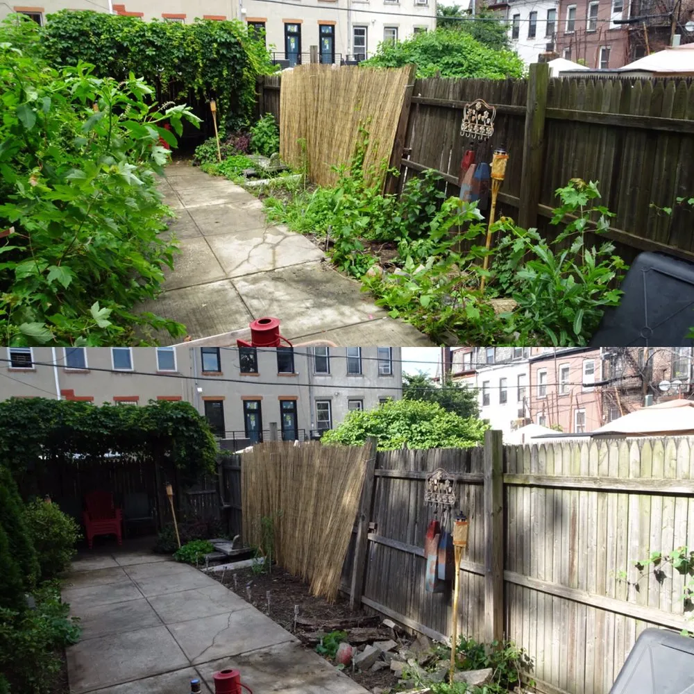 Reliable residential landscaping near you in Brooklyn, NY by Bed-Stuy Garden Guy
