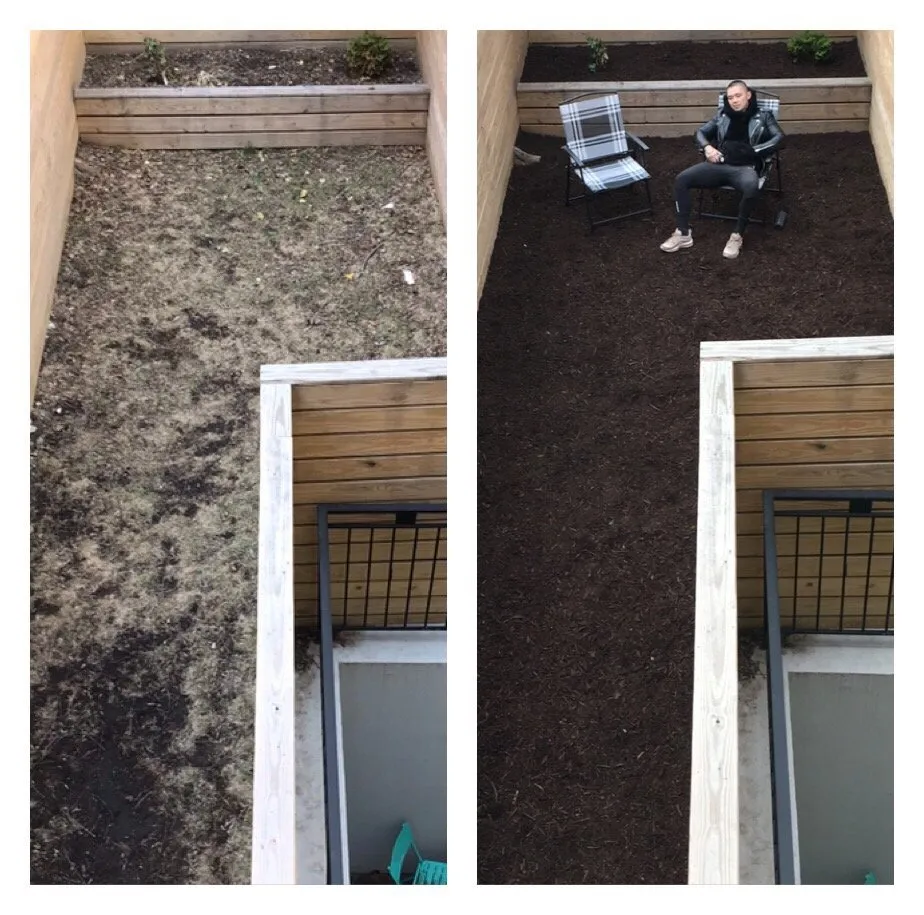 Expert outdoor landscaping for year-round maintenance in Brooklyn, NY by Bed-Stuy Garden Guy