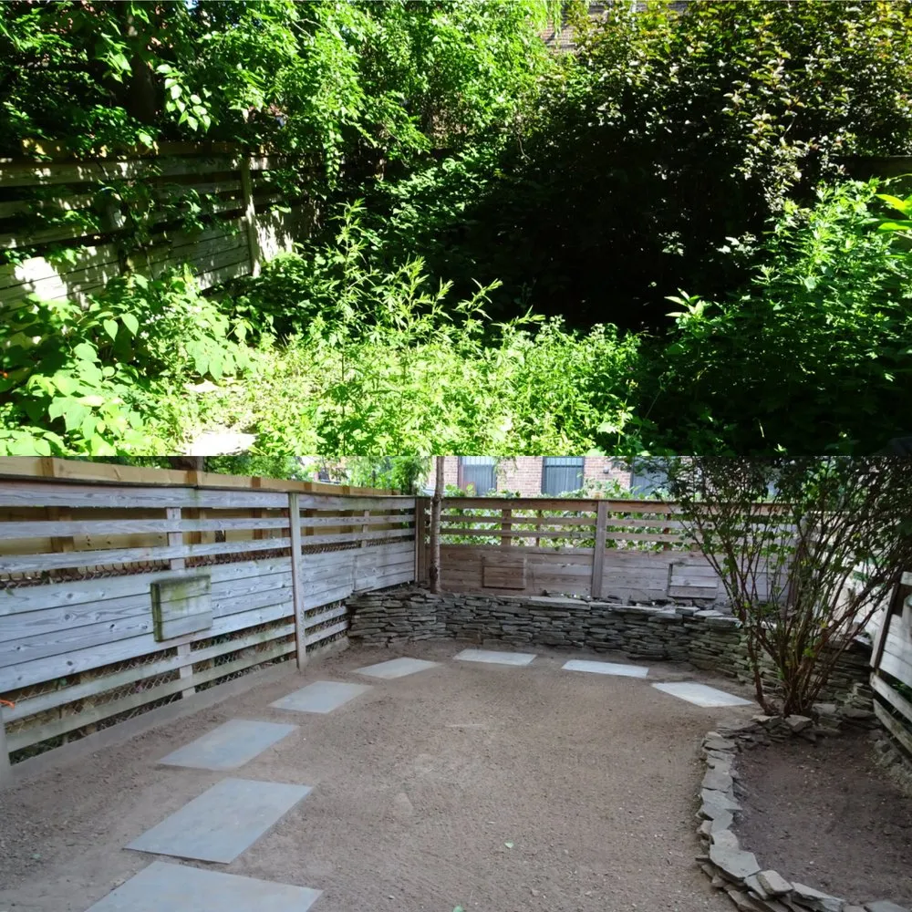 Custom yard maintenance in Brooklyn, NY by Bed-Stuy Garden Guy