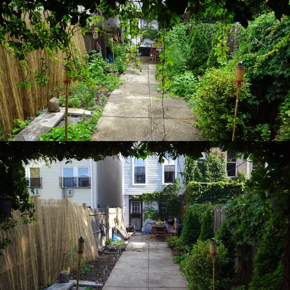 Professional yard maintenance near you in Brooklyn, NY by Bed-Stuy Garden Guy