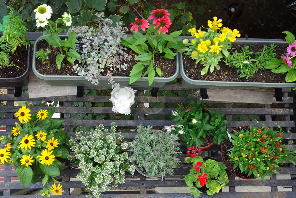 Professional lawn care service near you across Brooklyn, NY - Bed-Stuy Garden Guy