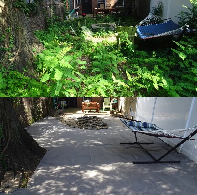 Trusted yard cleanup service in Brooklyn, NY - Bed-Stuy Garden Guy