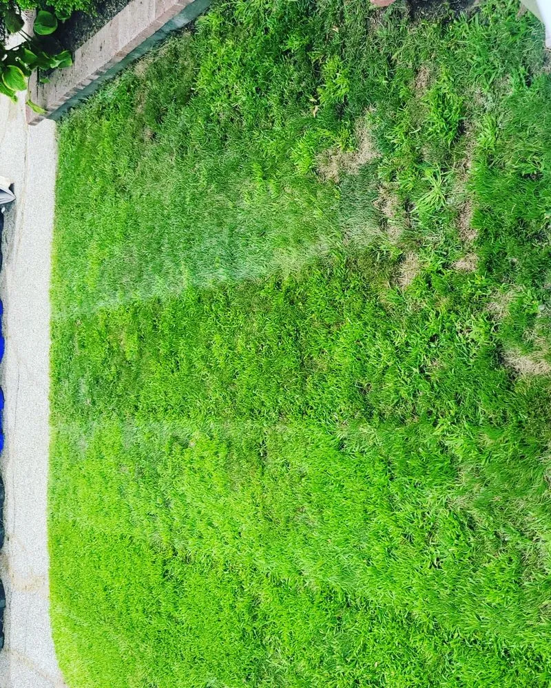 Top-rated landscape design near you across Hooksett, NH - Bedard & Son Landscaping