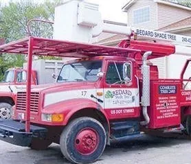 Affordable lawn mowing service for beautiful yards across New Hudson, MI - Bedard Shade Tree