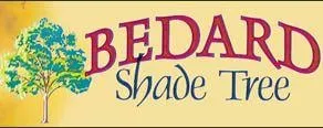 Professional yard maintenance for year-round maintenance across New Hudson, MI - Bedard Shade Tree