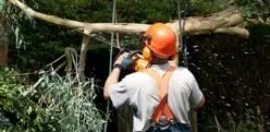 Custom landscaping services for year-round maintenance across New Hudson, MI - Bedard Shade Tree
