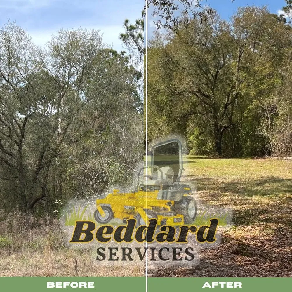 Reliable residential landscaping in Orange Park, FL by Beddard Services