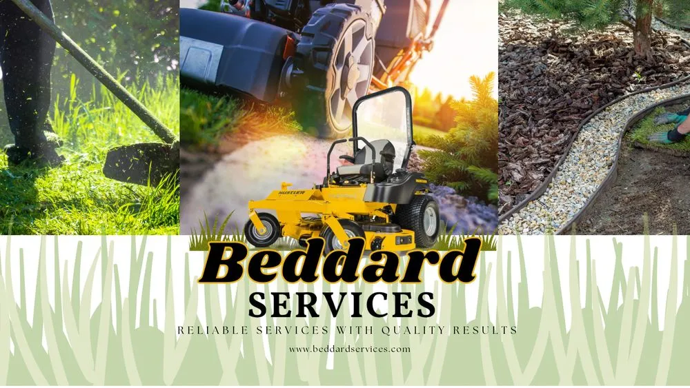 Expert yard cleanup service in Orange Park, FL - Beddard Services