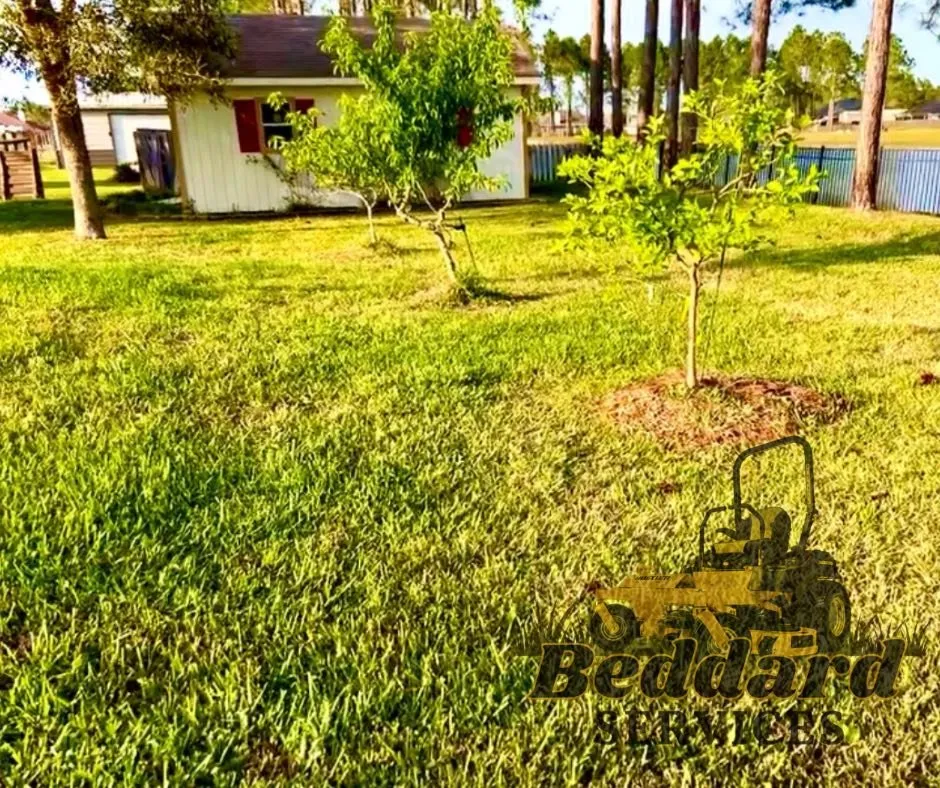 Top-rated lawn care service for year-round maintenance across Orange Park, FL - Beddard Services