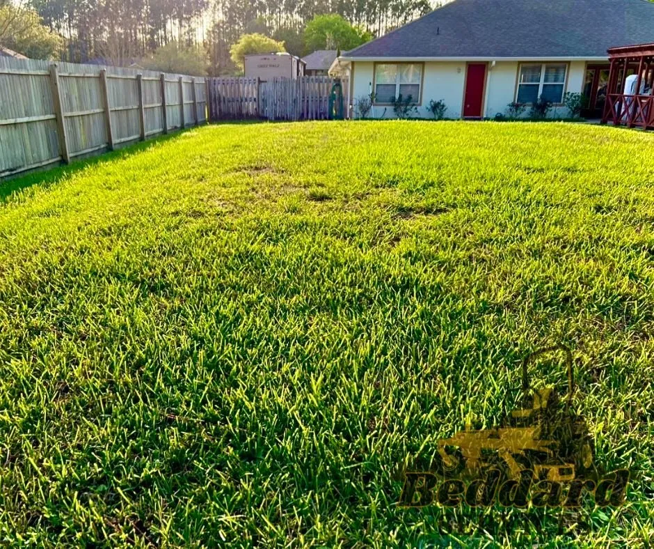 Expert yard cleanup service in Orange Park, FL by Beddard Services