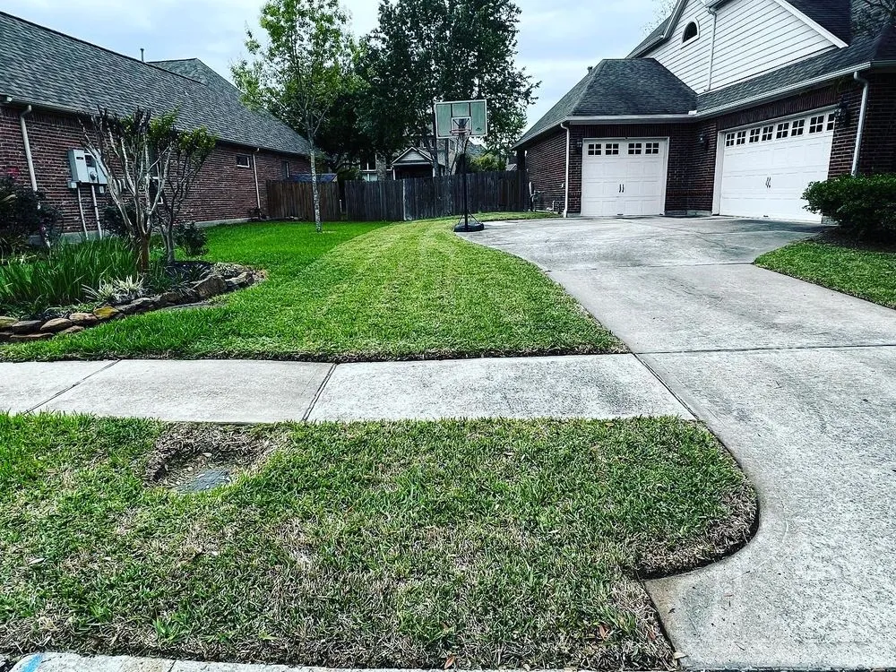 Expert yard maintenance for year-round maintenance in Humble, TX by Bedford Landscape