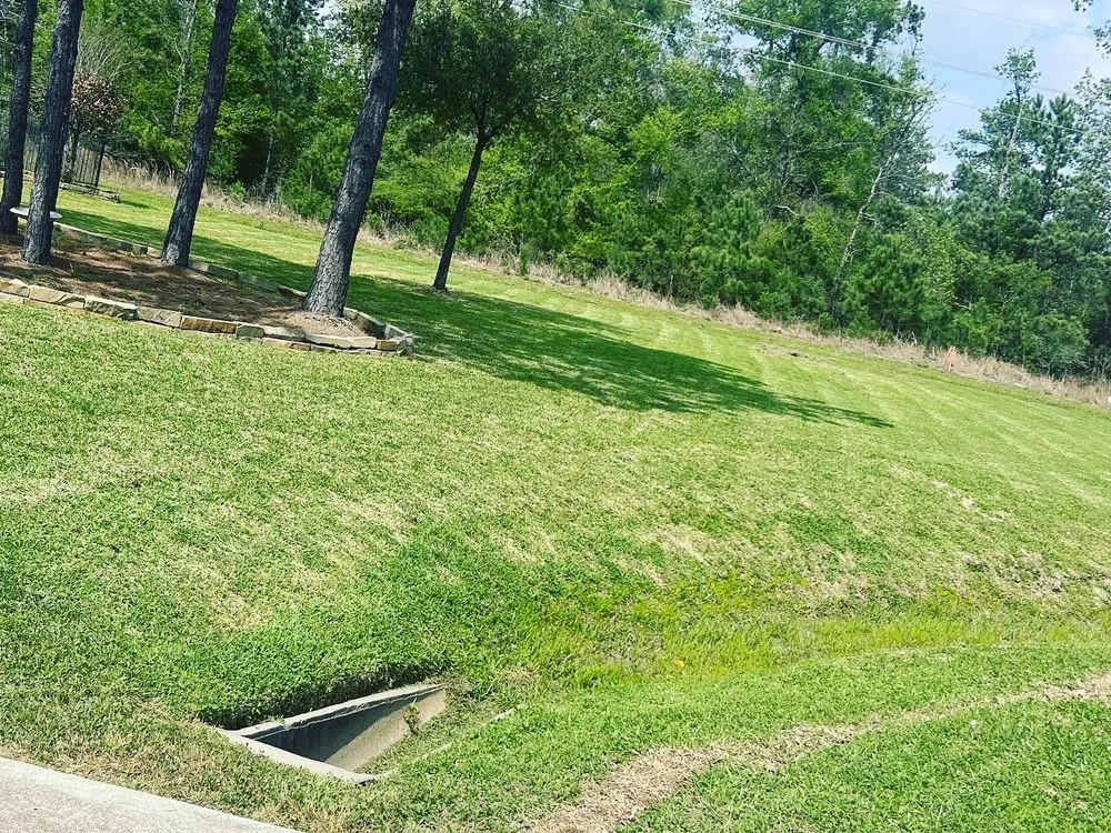 Affordable landscape installation for year-round maintenance in Humble, TX by Bedford Landscape