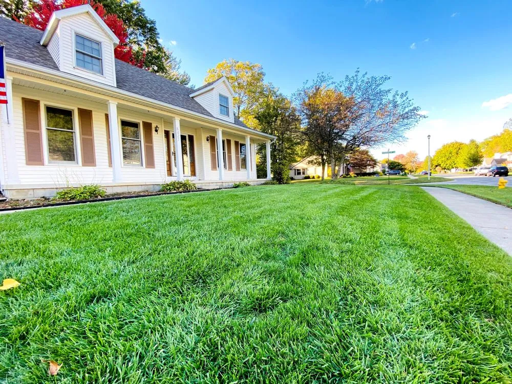 Expert yard cleanup service experts serving Temperance, MI - Bedford Lawn Care