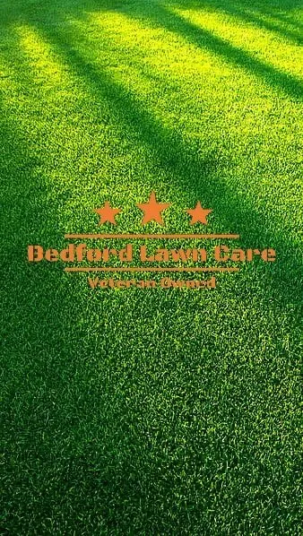 Custom landscape design for year-round maintenance in Temperance, MI by Bedford Lawn Care