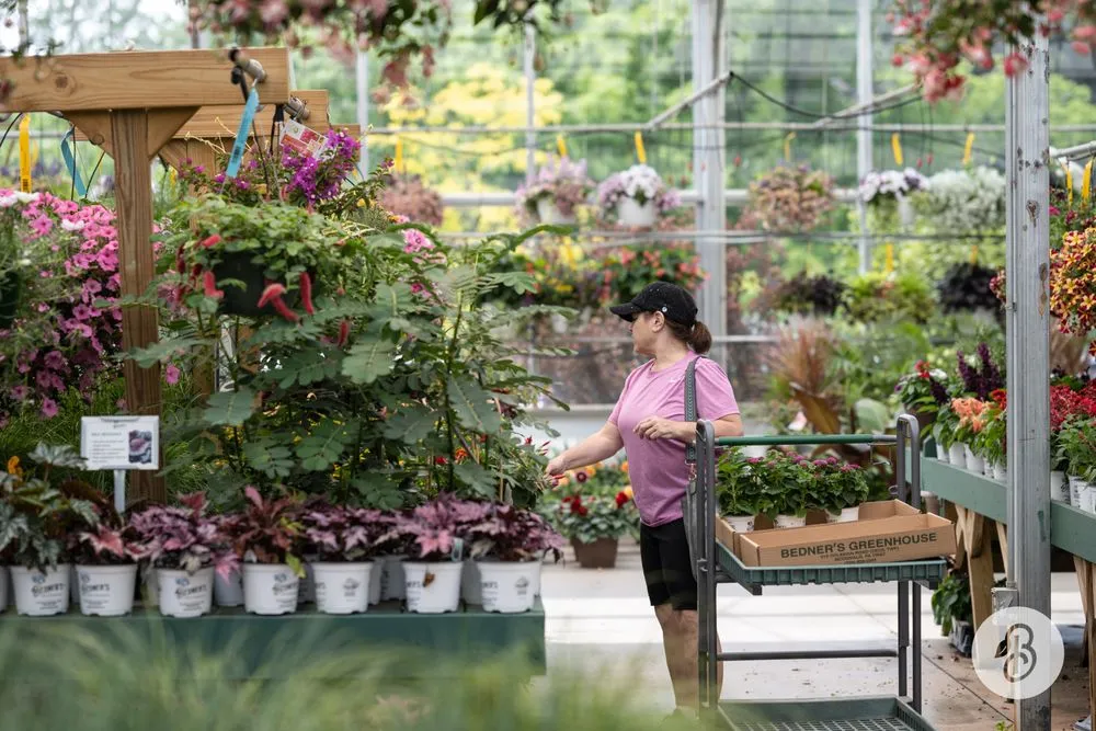 Affordable residential landscaping for beautiful yards in McDonald, PA by Bedner's Farm & Greenhouse