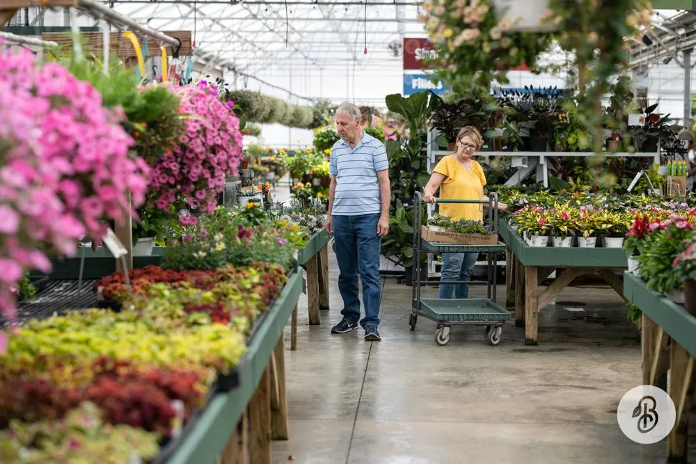 Reliable yard cleanup service for outdoor upgrades in McDonald, PA by Bedner's Farm & Greenhouse